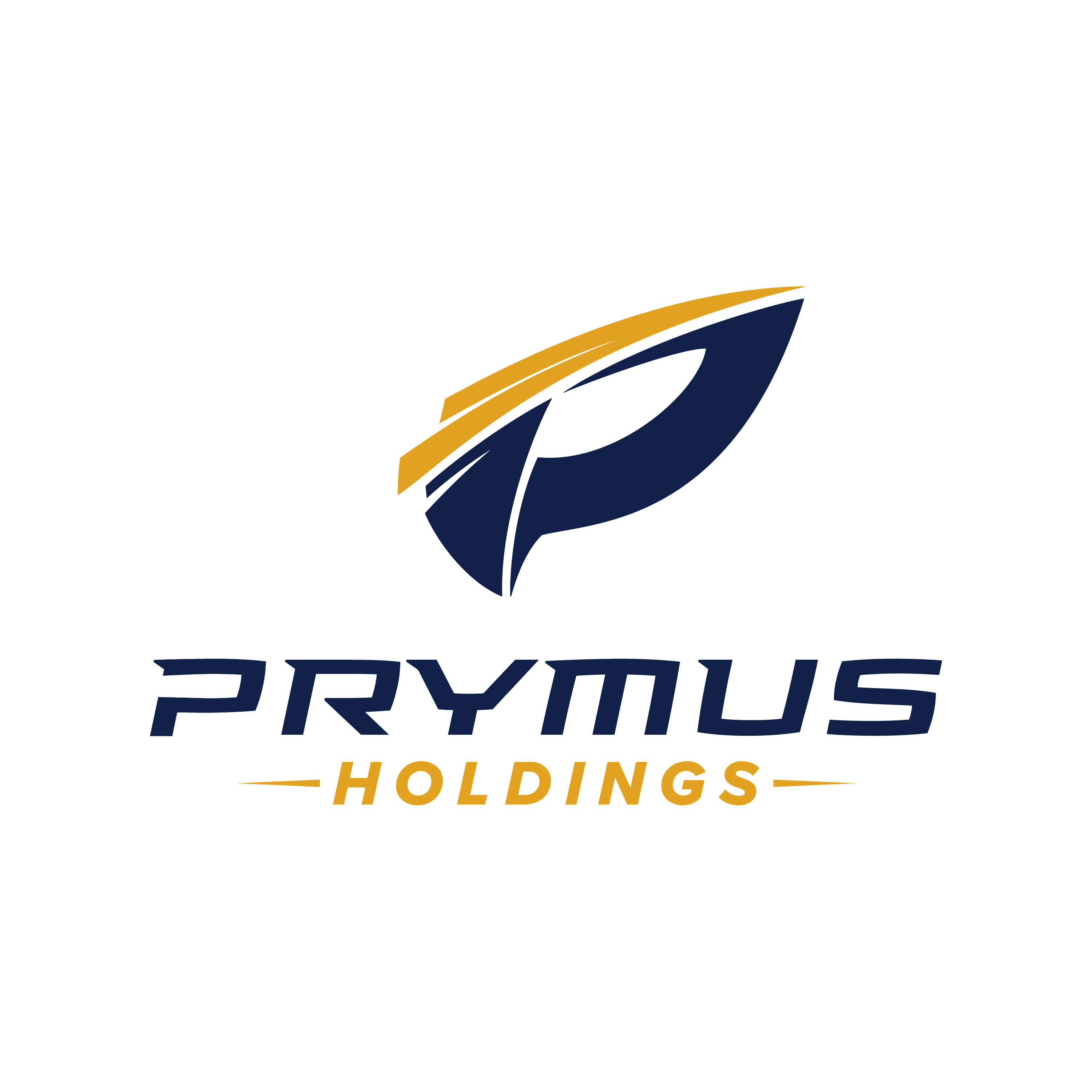 Prymus Holdings Logo
